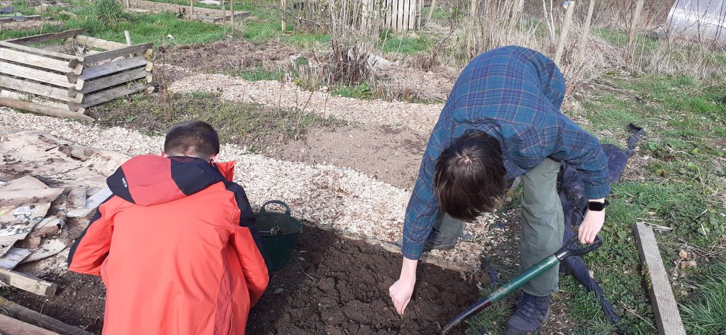 Duke of Edinburgh students planting onion sets